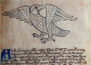 CCA-LitMs/D/10 fol. 13r Adler, aus Bestiarium von English School