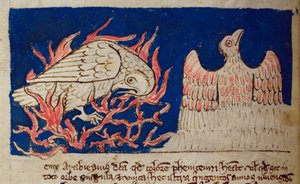 CCA-LitMs/D/10 fol. 17v Phönix, aus Bestiarium von English School