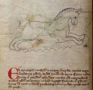 Monoceros, aus Bestiarium von English School