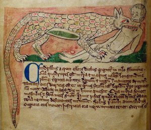 CCA-LitMs/D/10 fol. 3v Krokodil, aus Bestiarium