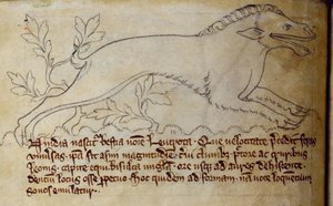 CCA-LitMs/D/10 fol. 3v Leucrota, aus Bestiarium