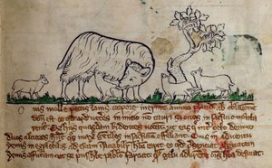 CCA-LitMs/D/10 fol. 8r Schaf, aus Bestiarium