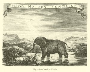 Camillo Caula