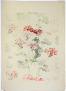 Teppichdesign von English School