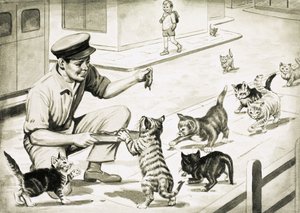 Katzen kommen, um den Katzenfleischmann zu begrüßen