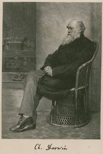 Charles Darwin von English School