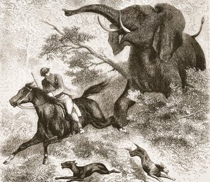 Von einem Elefanten gejagt, Illustration aus der Bildausgabe des Lebens und der Entdeckungen von David Livingstone von J. Ewing Richie, veröffentlicht von A. Fullarton & Co., 1876 von English School