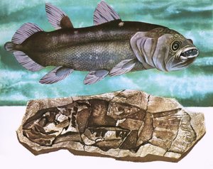 Coelacanth und sein Fossil von English School