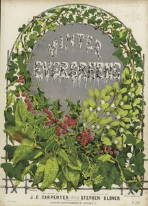 Cover von Wintergrün von English School