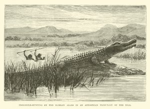 Krokodiljagd durch die Hamran-Araber in einem abessinischen Nebenfluss des Nils von English School