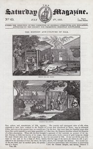 Seidenanbau (Gravur) von English School