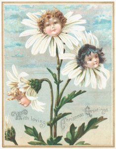 Gänseblümchen mit Gesichtern, Weihnachtskarte