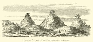 Dänische Hügelgräber bei Ashdown, Essex