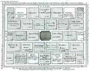 Entwurf für einen fertigen Küchengarten, aus Neue Prinzipien der Gartenkunst, von Betty Langley, 1726 von English School