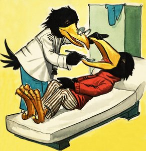 Doktor Krähe