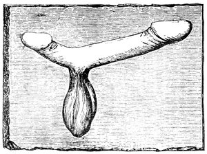 Doppelter Phallus vom Türsturz eines Vomitoriums (Ausgangspassage) im Amphitheater von Nimes (Colonia Nemausus)