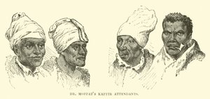 Dr. Moffats Kaffir-Begleiter