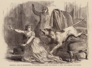 Schrecklicher Fall von Hydrophobie in Saratoga, ein großer Hund greift eine Dame an, die gerade zum Abendessen angezogen ist