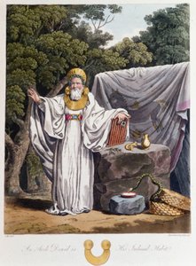 Druide - in "Kelten und Goten, Bräuche der Bewohner der Britischen Inseln des frühen 6. Jahrhunderts und der Gotenstämme der Westküste der Ostsee", von S.R. Meyrick und Ch. Smith von English School