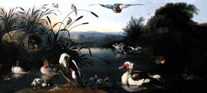 Enten auf einem Teich von English School