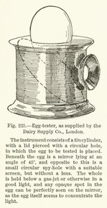 Eiertester, geliefert von der Dairy Supply Company, London von English School