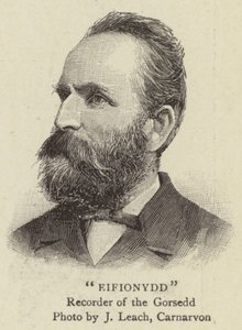 Eifionydd (Stich)