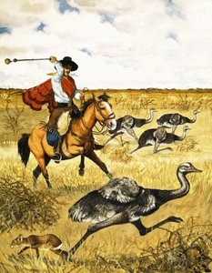 Emu-Jagd