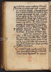Auszüge aus Henry of Huntingdons Historia Anglorum, Cotton MS Titus D XXIV, f.132v von English School