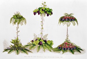 Erster Preis für Tischdekoration, Royal Horticultural Society, 1851 von English School