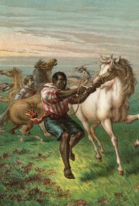 Garibaldis Truppen brechen wilde Pferde von English School