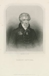 Georges Cuvier, französischer Naturforscher und Zoologe (Stich) von English School