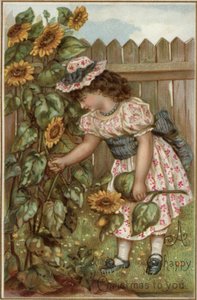 Mädchen pflückt Sonnenblumen im Garten von English School