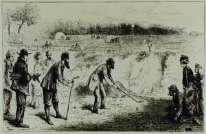 Golf von English School