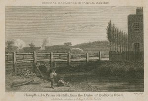 Hampstead und Primrose Hills, von der Duke of Bedfords Straße