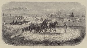 Pferde treten Korn in der römischen Campagna (Gravur) von English School