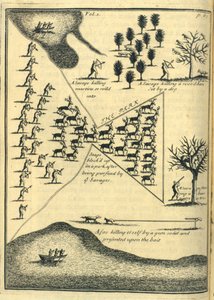 Jagd, 1703 von English School