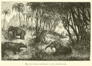 Ideale Landschaft des Miozän-Zeitalters