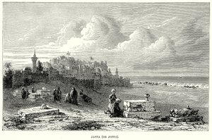 Jaffa (oder Joppa) (Gravur) von English School