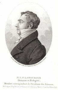 Jean Vincent Félix Lamouroux von English School