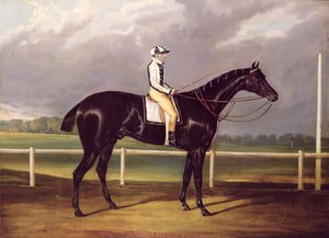 Jerry, Gewinner des St. Leger im Jahr 1824 von English School