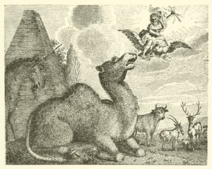 Jupiter und das Kamel von English School