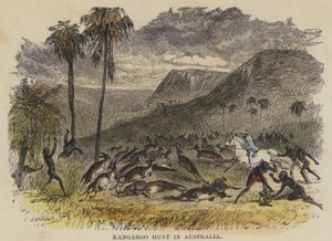Kängurujagd in Australien von English School