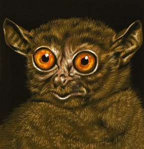 Lemur