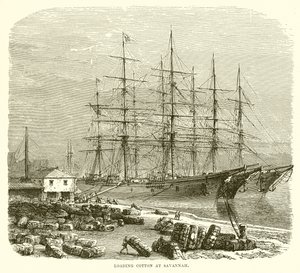 Baumwolle verladen in Savannah