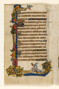 MS 1-2005, fol. 115v: Ein Hase reitet auf einem Hund, jagend, Randdekoration aus dem Macclesfield Psalter, Use of Sarum, Ostanglien, um 1330 von English School