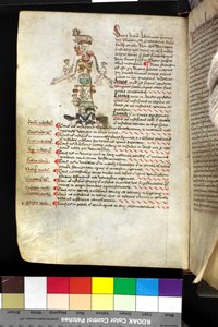 MS Hunter 251 f.47v, Illustration eines 