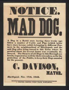 Warnung vor tollwütigem Hund, Hartlepool, 1843 von English School