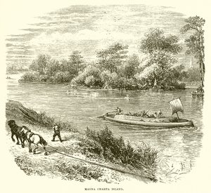 Magna Carta Insel von English School