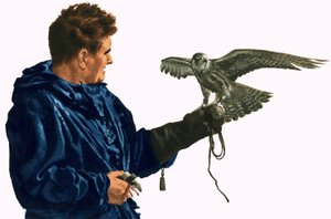 Mann mit Raubvogel