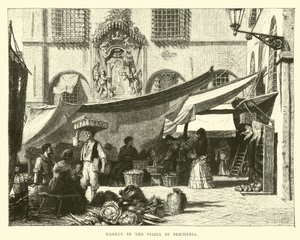 Markt auf der Piazza di Pescheria von English School